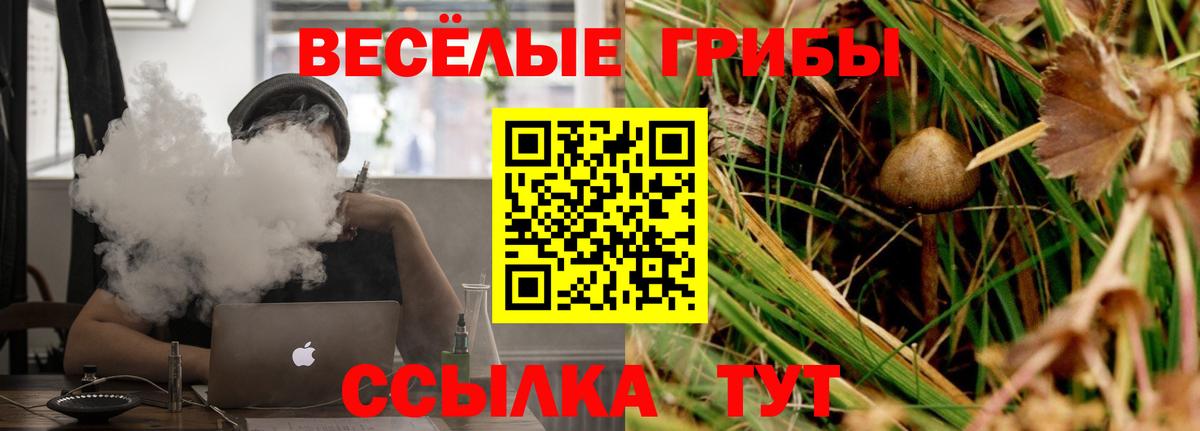 Галлюциногенные грибы Psilocybe Первоуральск