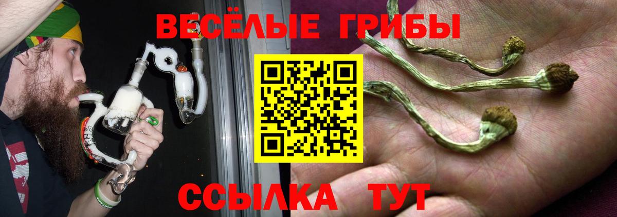 Первоуральск  Псилоцибиновые грибы Psilocybe  Псилоцибиновые грибы мицелий  наркотики  Вход с VPN 